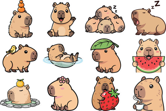 cute capybara pic