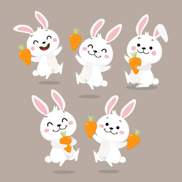 cute bunny pic